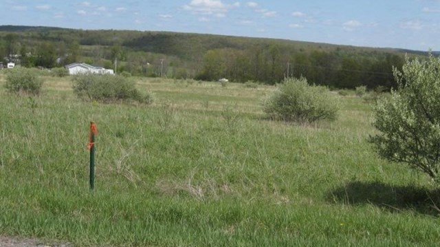 0 County Route 17, Bradford, NY 14815