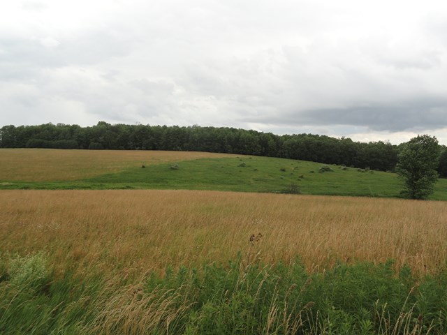 0 Lot 3 Tucker Road, Thurston, NY 14821