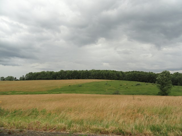 0 Lot 3 Tucker Road, Thurston, NY 14821