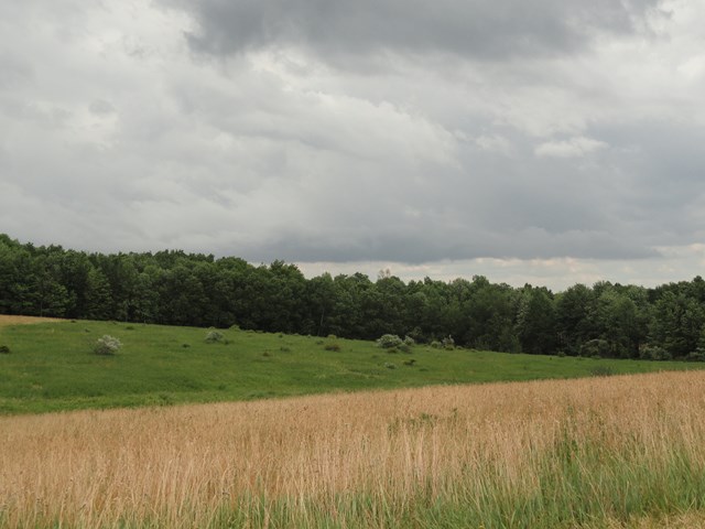 0 Lot 3 Tucker Road, Thurston, NY 14821