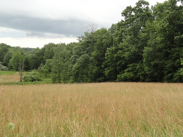 0 Lot 4 Tucker Road, Thurston, NY 14821
