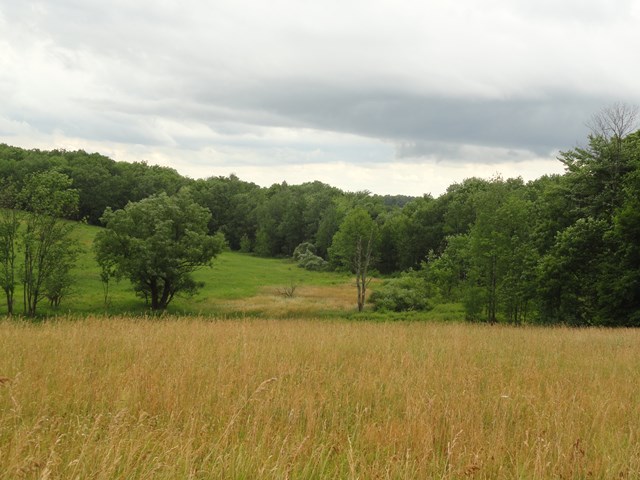 0 Lot 4 Tucker Road, Thurston, NY 14821