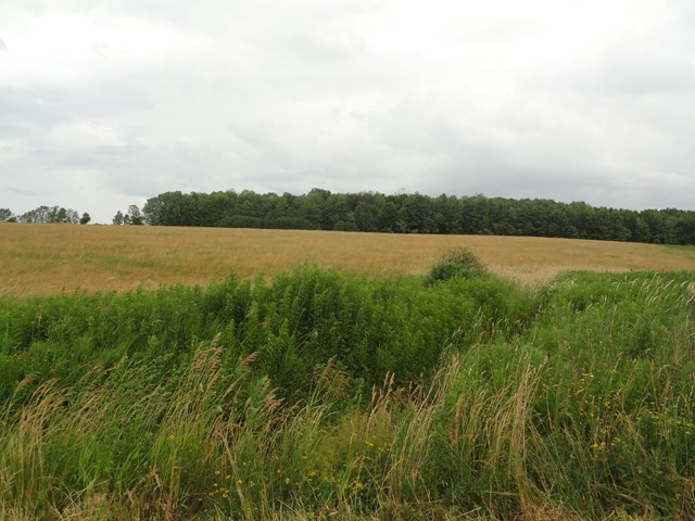 0 Lot 1 Tucker Road, Thurston, NY 14821