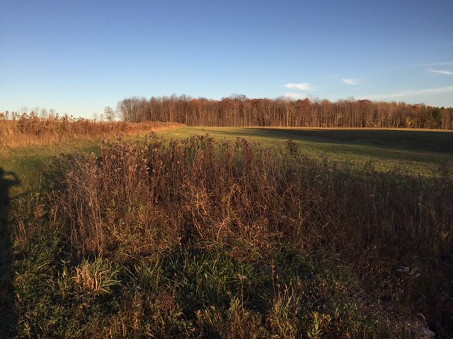 0 Lot 1 Tucker Road, Thurston, NY 14821