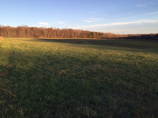 0 Lot 1 Tucker Road, Thurston, NY 14821