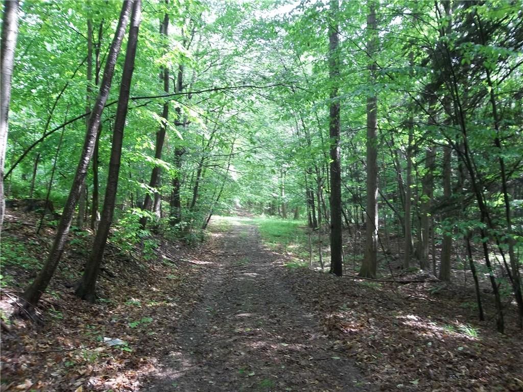 1421 Moon Hill Road, Barrington, NY 14837