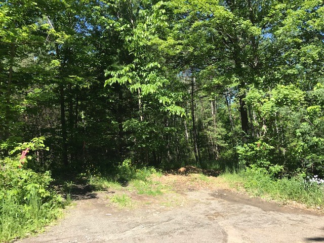 0 Rte. 87, Urbana, NY 14840