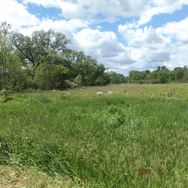 0 Vargo Rd, Horseheads, NY 14845