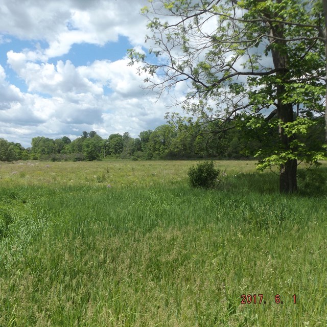 0 Vargo Rd, Horseheads, NY 14845