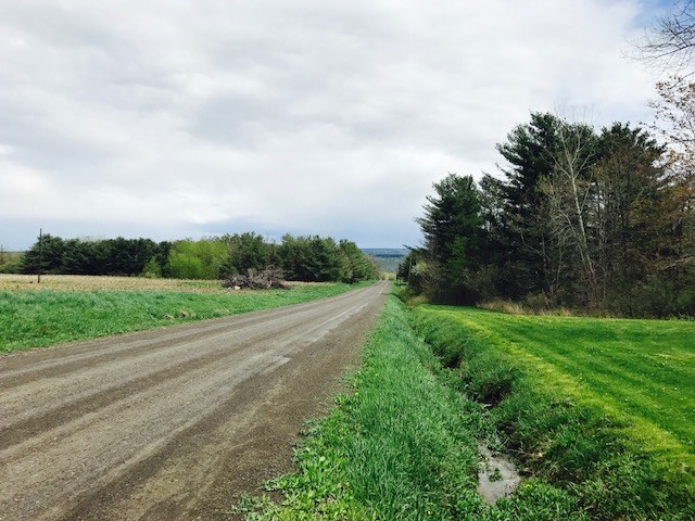 8464 Stone Rd., Pulteney, NY 14873