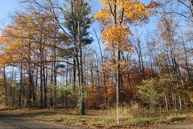 0 Spencer, Rock Stream, NY 14878