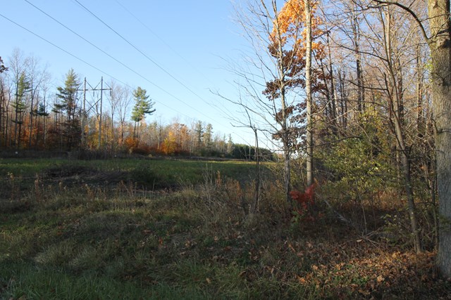 0 Spencer, Rock Stream, NY 14878
