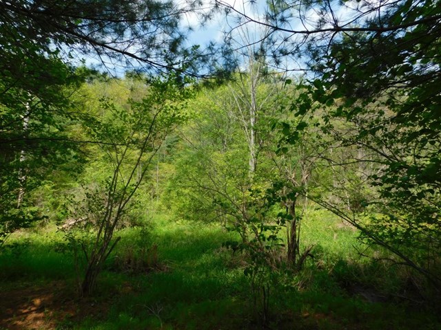 Spencer, NY 14883