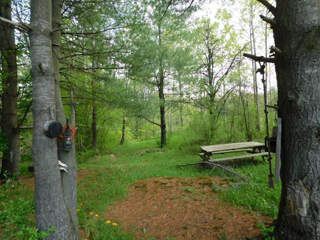 Spencer, NY 14883