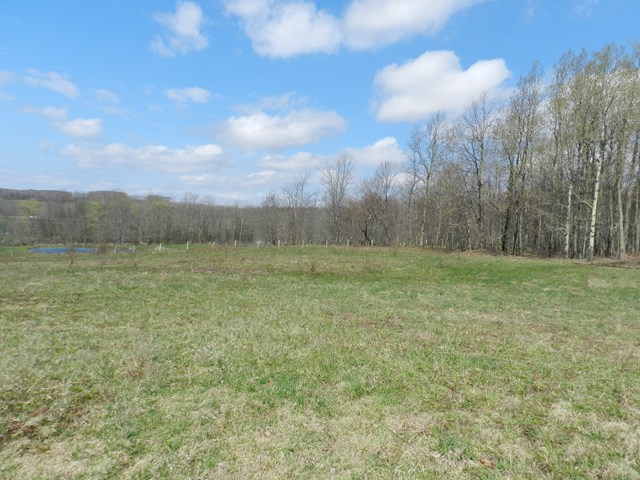 2081 Price School Road, Other, NY 14885