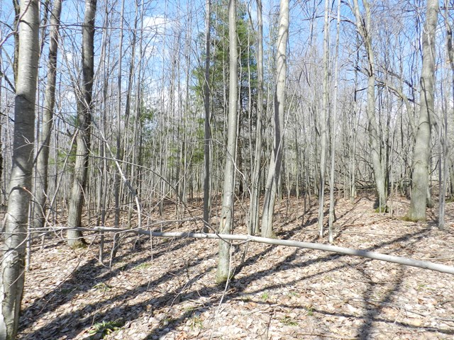 2081 Price School Road, Other, NY 14885