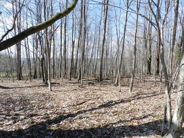 2081 Price School Road, Other, NY 14885