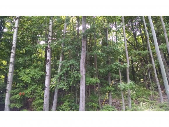 0VENNELL RD, Van Etten, NY 14889