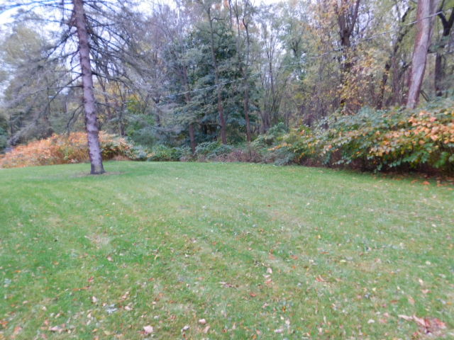 55 Larchmont RdElmira, NY, 14905Chemung County