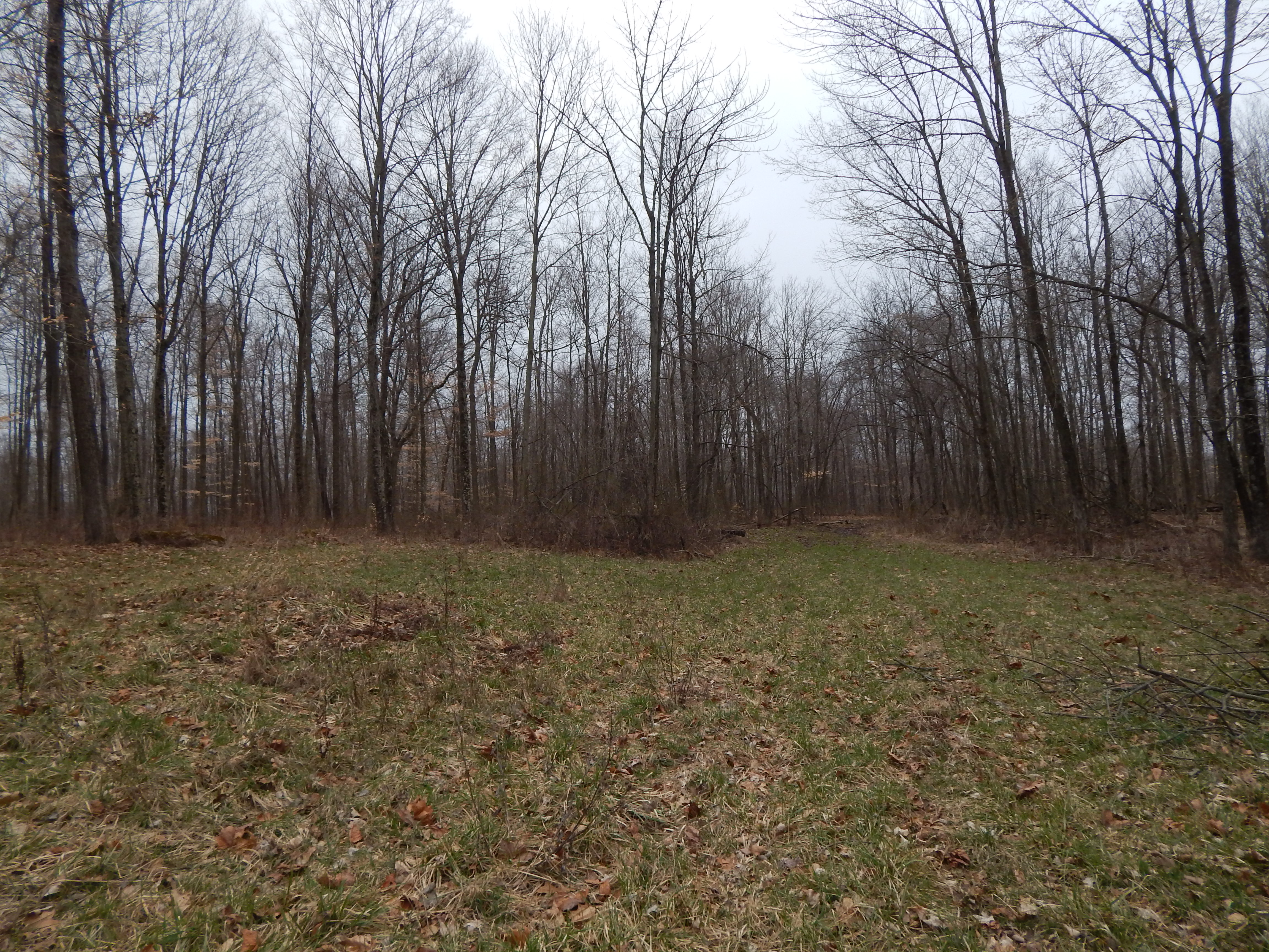 0 Sycamore Rd, Mount Vernon, OH 43050