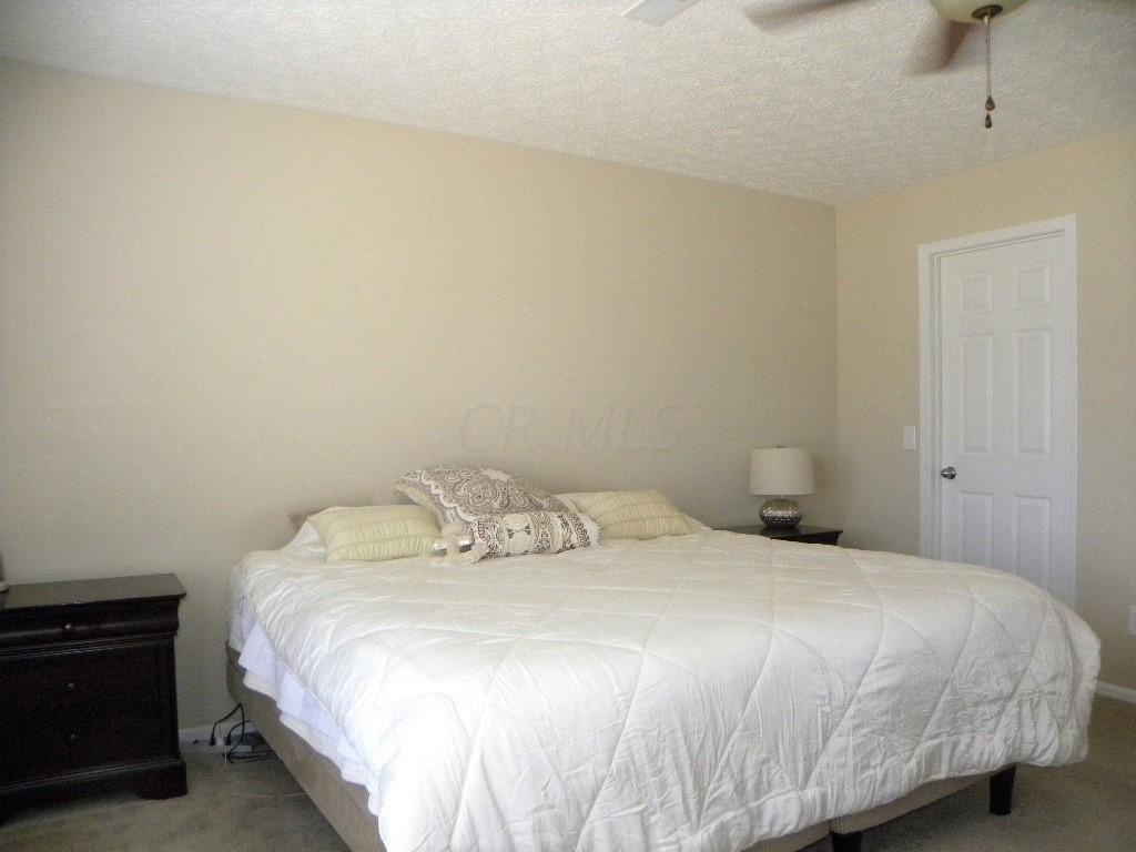 6250 Albany Way Drive, Westerville, OH 43081