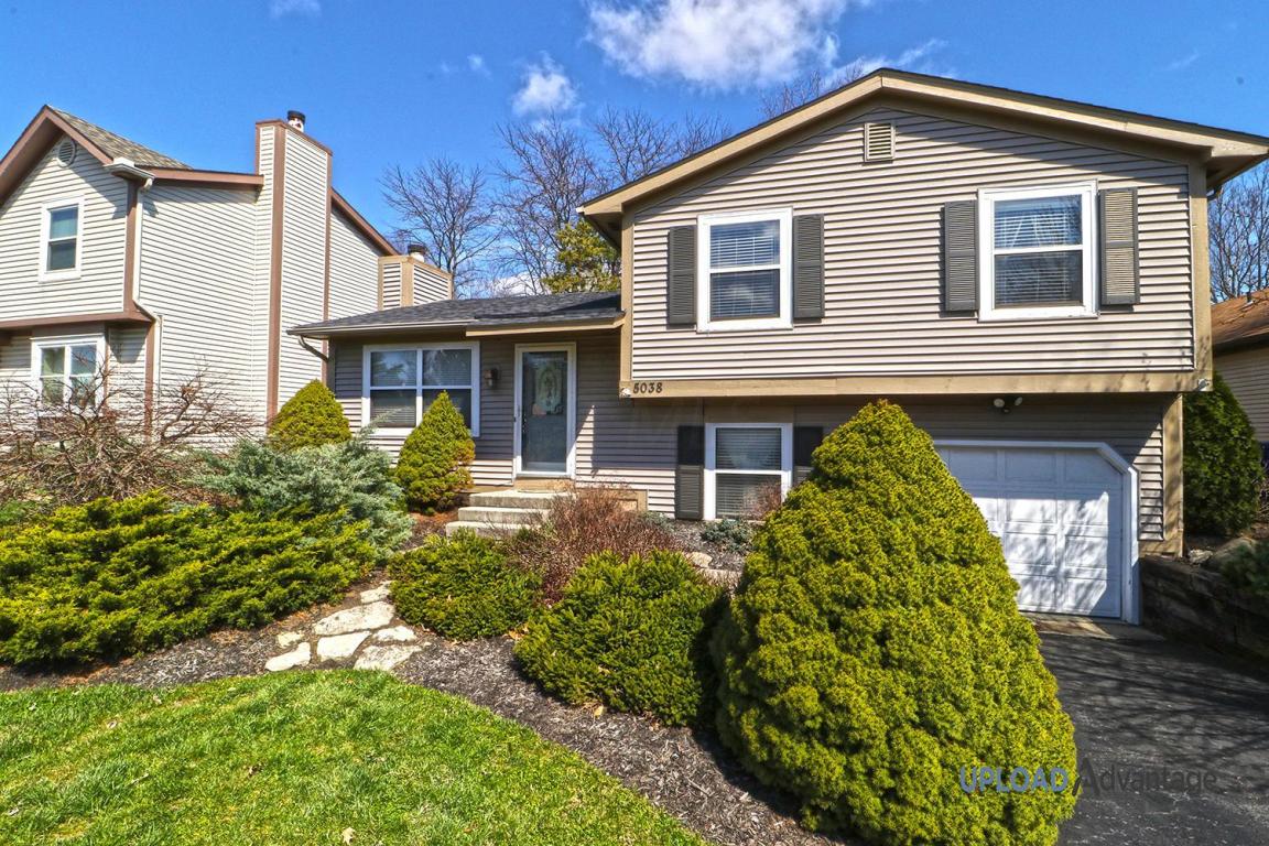 5038 Shannonbrook Drive, Columbus, OH 43221