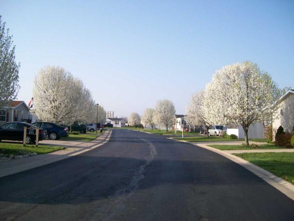 Meadows Of Perrysburg 27484 Oregon Rd. #56Perrysburg, OH 43551