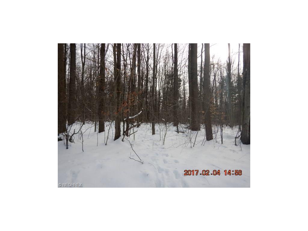 Matson Rd, Geneva, OH 44041