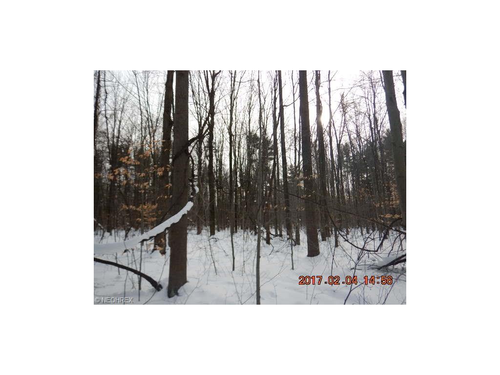 Matson Rd, Geneva, OH 44041