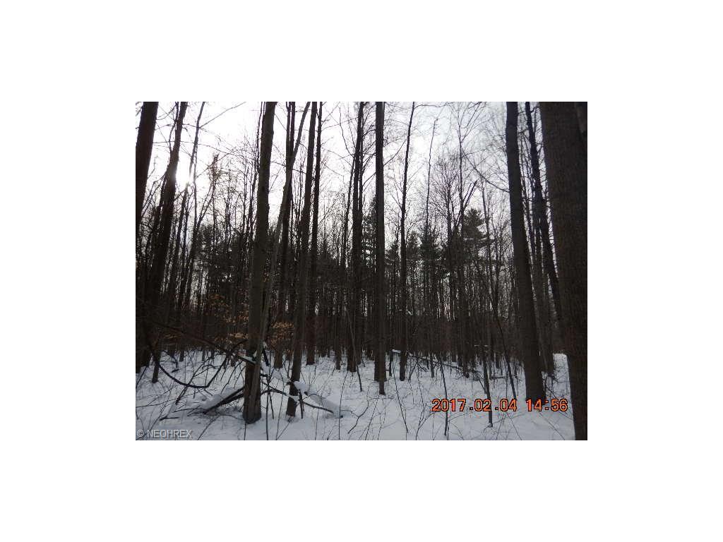Matson Rd, Geneva, OH 44041