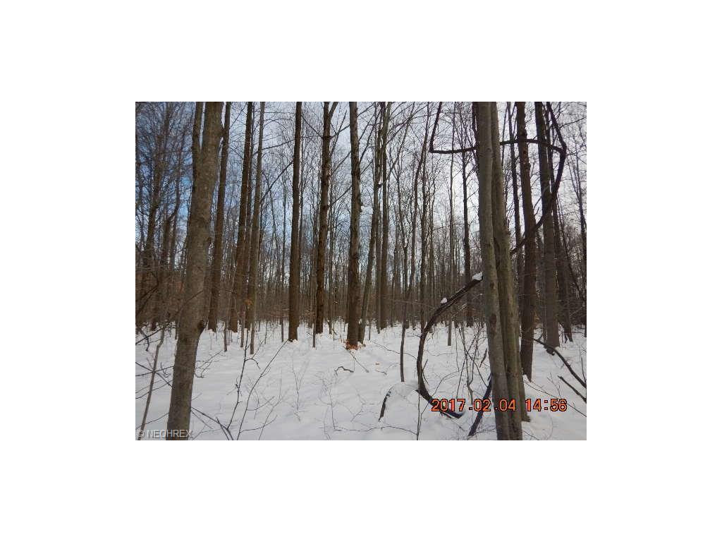 Matson Rd, Geneva, OH 44041