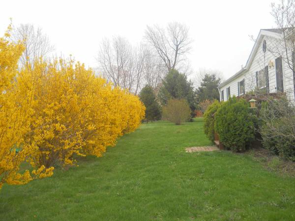 Golfway Pines, Inc 571 Sandtrap CirclePainesville, OH 44077