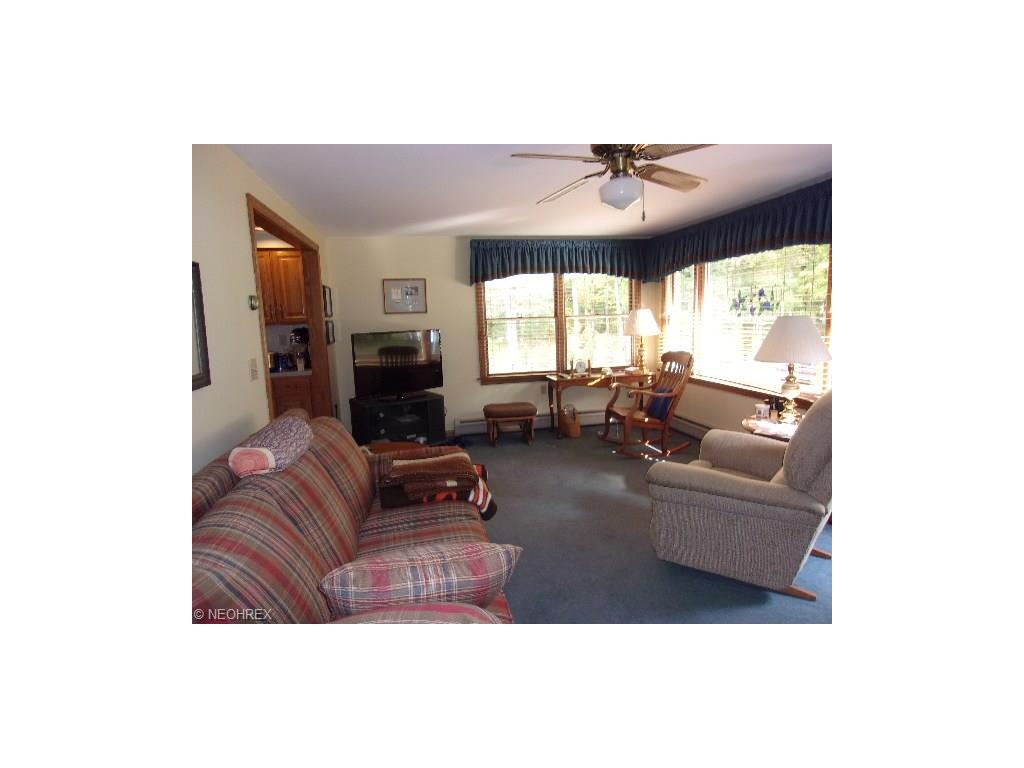 7717 Bayview Dr, Williamsfield, OH 44093