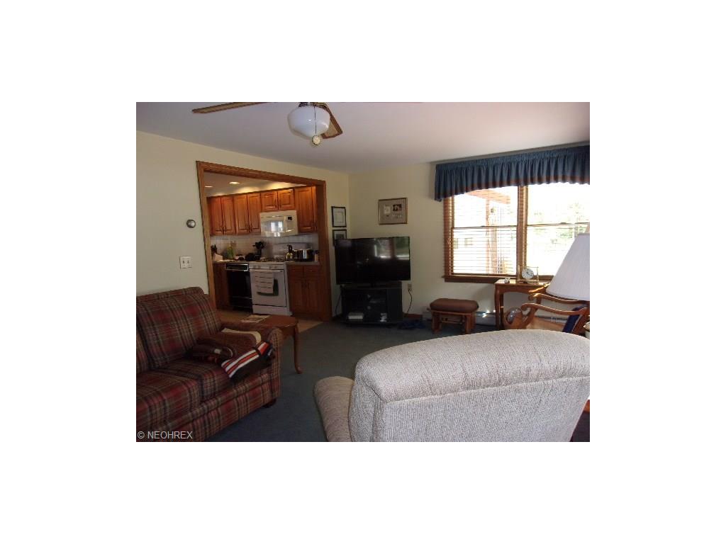 7717 Bayview Dr, Williamsfield, OH 44093