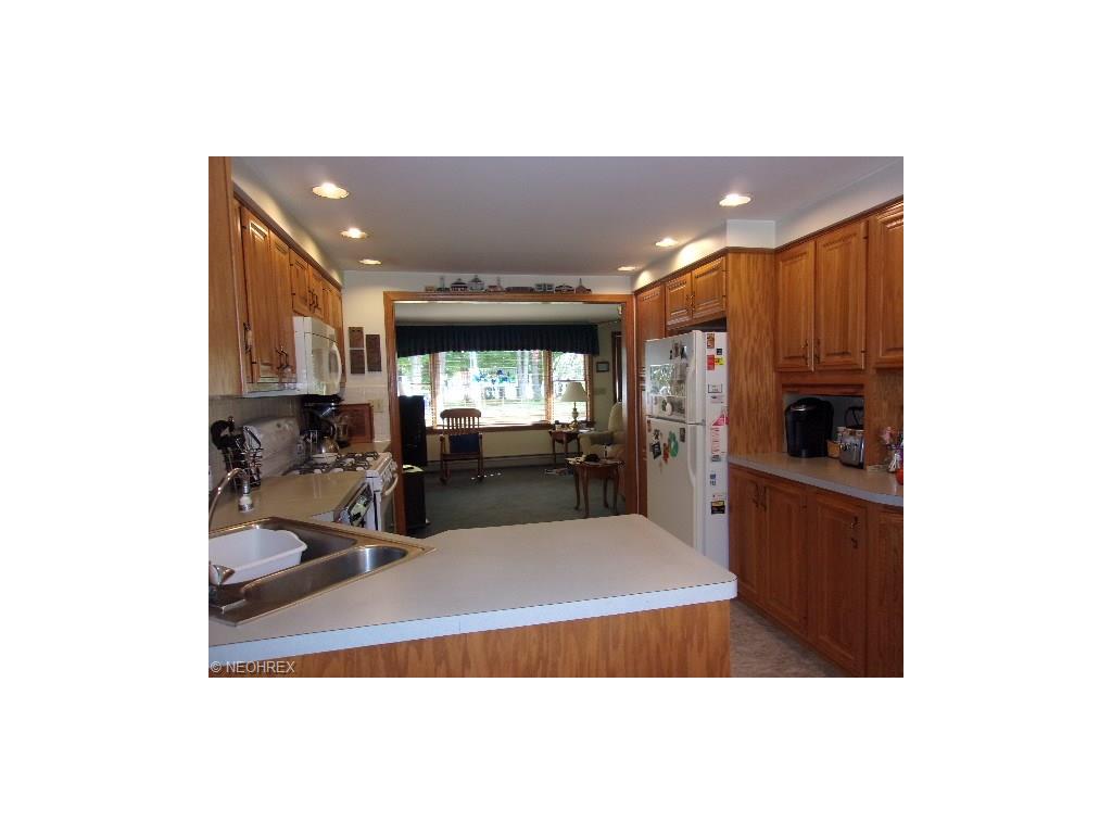 7717 Bayview Dr, Williamsfield, OH 44093