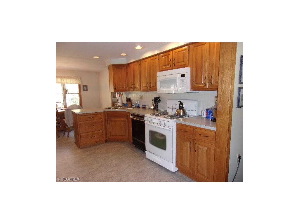 7717 Bayview Dr, Williamsfield, OH 44093