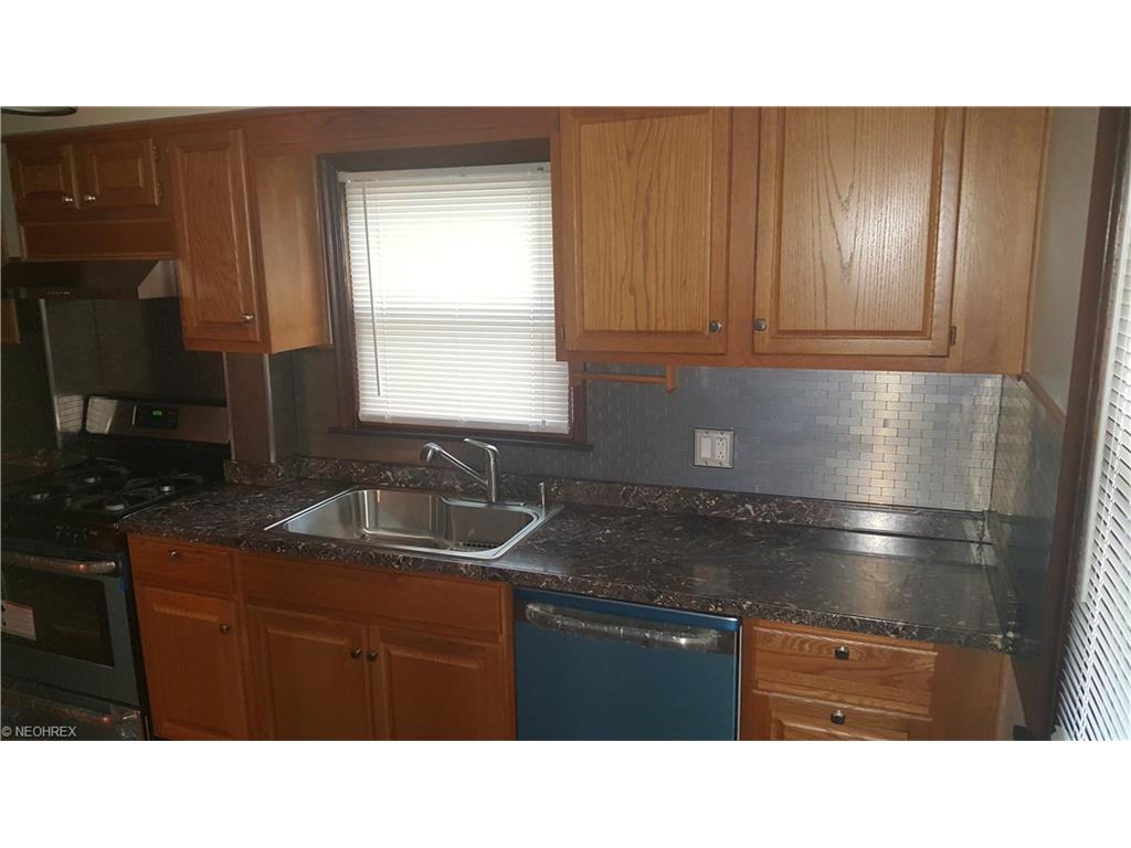 1646 Elbur Ave, Lakewood, OH 44107