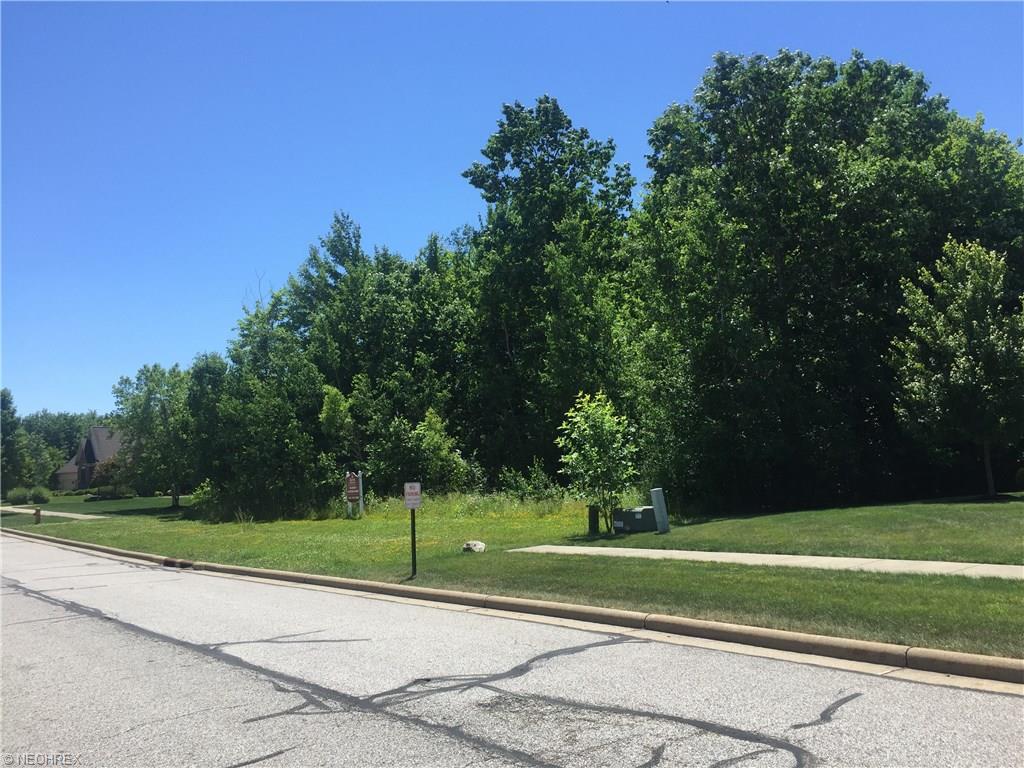 25 S/L Royal Portrush Dr, Solon, OH 44139