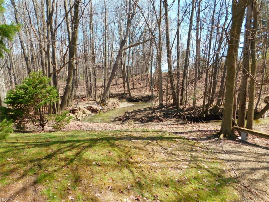 11519 Blodgett Creek Trl, Strongsville, OH 44149