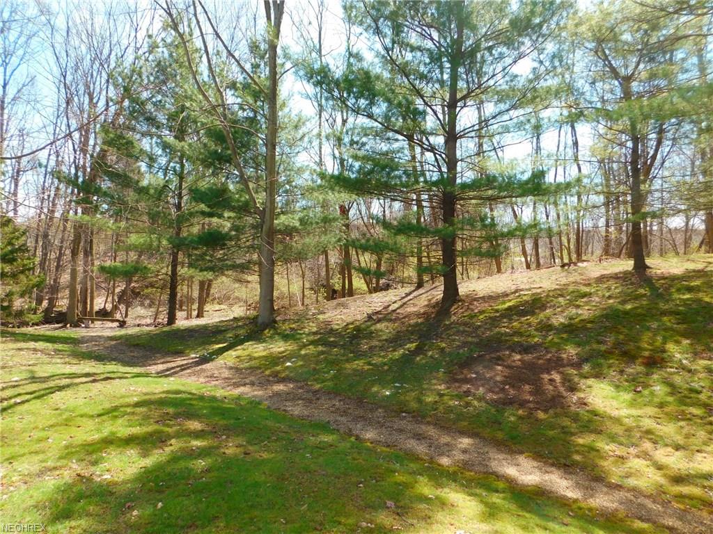 11519 Blodgett Creek Trl, Strongsville, OH 44149
