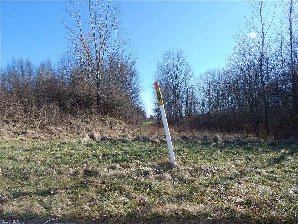 Lake Run Blvd, Stow, OH 44224