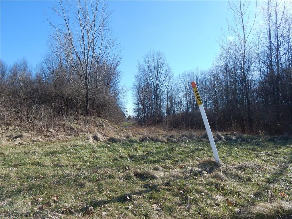 Lake Run Blvd, Stow, OH 44224