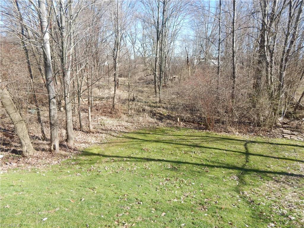 Lake Run Blvd, Stow, OH 44224