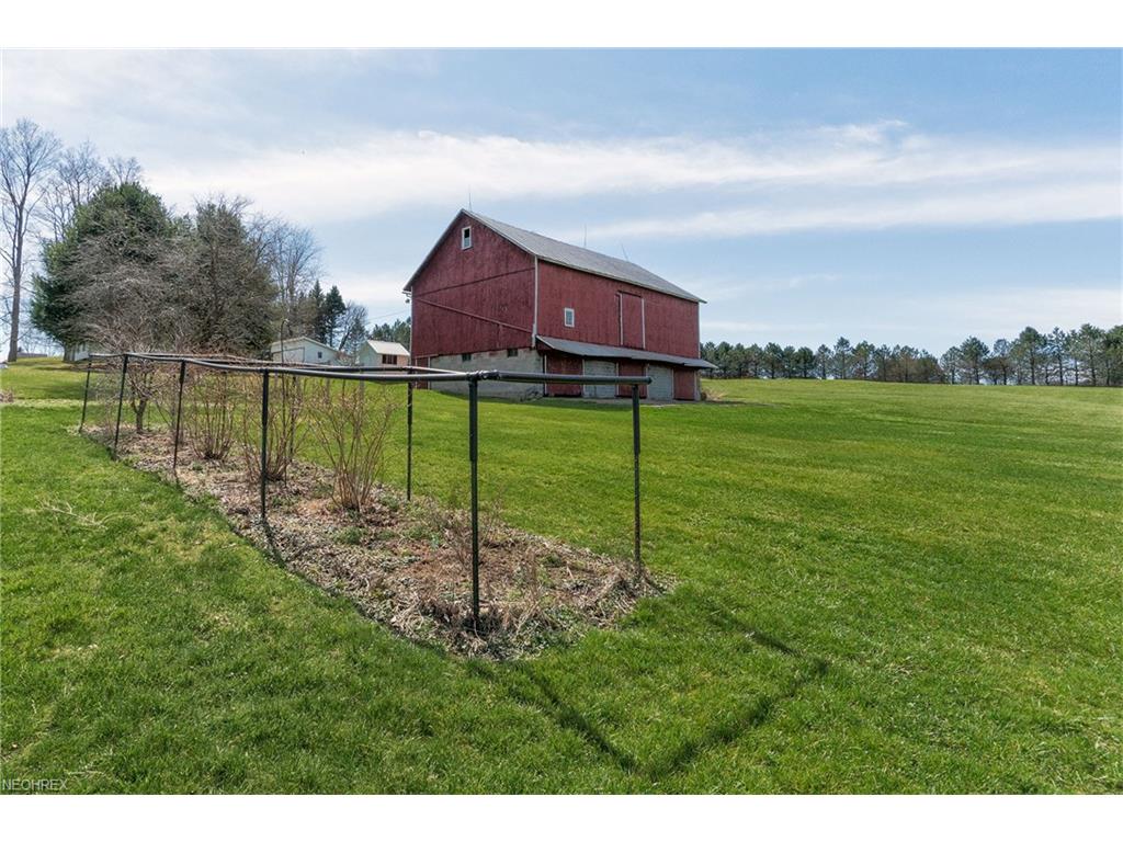 3496 Stony Hill Rd, Medina, OH 44256