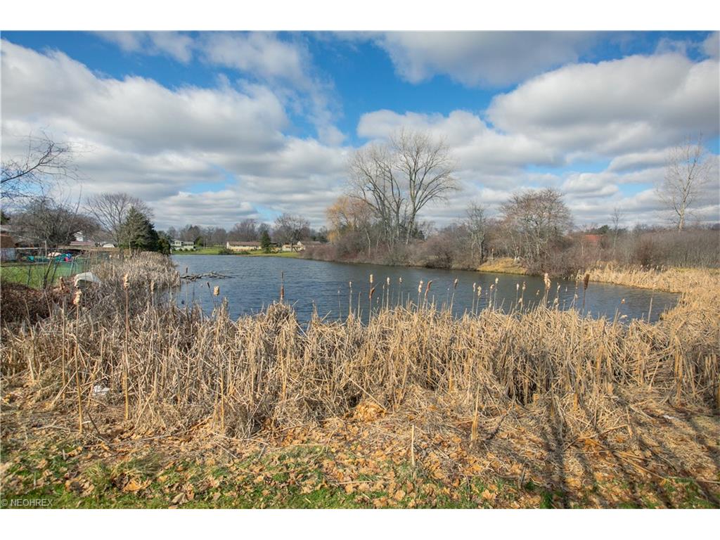 63 Pontius Rd, Mogadore, OH 44260