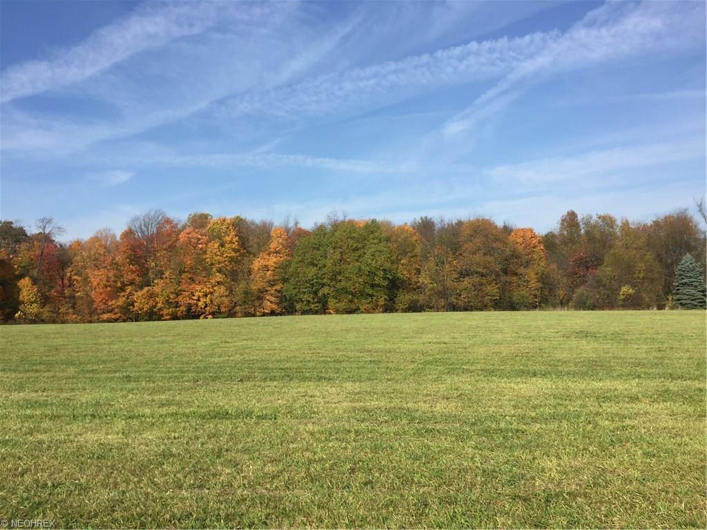 65-A Sharbrook Rd, Wadsworth, OH 44281