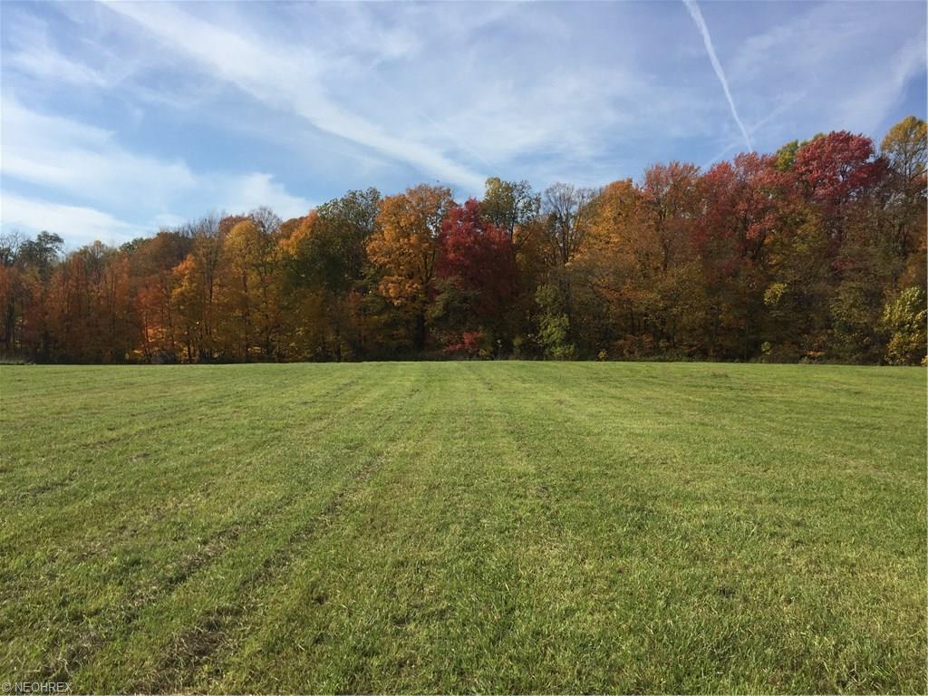 65-A Sharbrook Rd, Wadsworth, OH 44281
