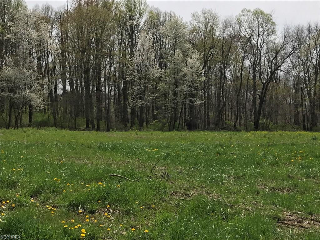 Block A Chardoney Dr, Wadsworth, OH 44281