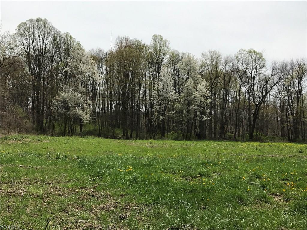 Block A Chardoney Dr, Wadsworth, OH 44281