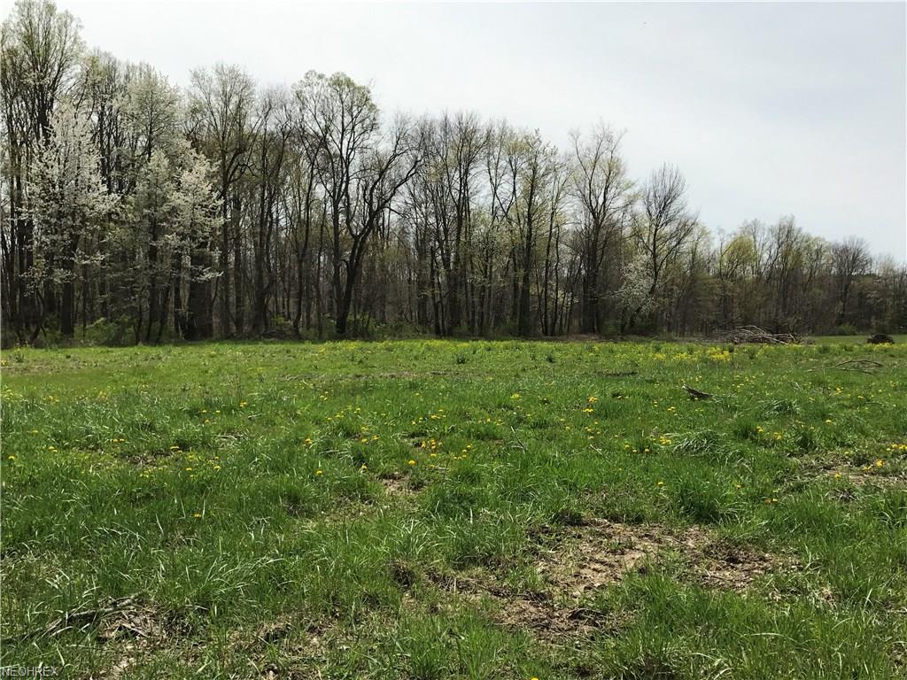 Block A Chardoney Dr, Wadsworth, OH 44281